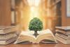 The Best Law Schools For Environmental Law (2026)