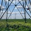 Sparks Fly Over Proposed Ameren Powerline Routes
