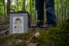 West Nile Virus Detected in Nashville Mosquitoes for the First Time in 2026