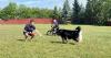 Sunshine returns to Anchorage and sends people back outdoors