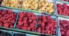 Industry Funded Study of the Week: Raspberries