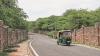 1,091 trees to be moved, felled: Delhi Government nod clears way for Sarojini Nagar housing project