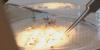 Mosquito-borne illnesses trending down in Vermont
