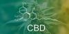 Cannabidiol shows no significant benefit for treating psychotic disorders, new study finds
