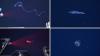Ghostly squid, glowing worms among 31 alien-like species discovered off Brazil coast