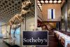 Sotheby’s elegant restaurant Marcel features T. rex tooth display — and succulent fare