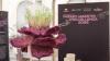 LVMH Métiers d’Excellence Reveals Finalists of Bulgari-supported Fourth Edition