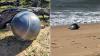 Origin of space debris washing ashore on Queensland beach potentially revealed