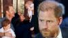 Harry still open to bringing children to the UK – with one condition