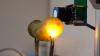 Pickles glow when you plug them in. Science explains why