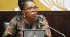 DA’s call for lifestyle audit on Dina Pule politically motivated, says analyst