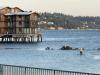 WEST SEATTLE SCENE: Stranded dog’s rocky rescue