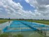 Inside Ghana’s aquaculture value Chain: Where are the bottlenecks slowing growth?