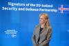 NATO must focus on Ukraine despite rising Arctic security concerns, Iceland says