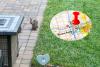 Is the Rabbit Population Out of Control in Sioux Falls This Year?
