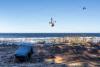 NATO Approves $40 Billion Counter-Drone Initiative to Defeat Low-Cost UAV Threats