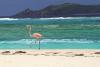 Pruce in Paradise: Insights from the governor of the British Virgin Islands
