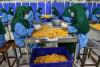 Women pushed back to Afghanistan pin hopes on rare private sector jobs