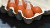 Australia's poultry industry on high alert as H5 bird flu threat looms