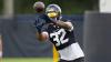 Texans view David Montgomery as a 'three-down back' 
