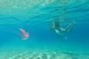 Warming seas bring jellyfish and sharks to South Korea’s beaches
