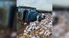 25 Die In Kwara, Ibadan-Lagos Expressway Auto Crashes