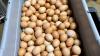 Minnesota will get 2 million free eggs in price-fixing settlement