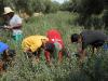 Morocco’s National Agency for Child Protection: An Opportunity to Prioritize Adolescent Autonomy