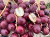 Red Dates: Importance, Health Benefits And How To Use This Ancient Superfruit