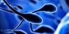 Air Pollution May Alter Sperm DNA Function, Study Suggests