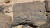 Drill results demonstrate shallow mineralisation, strong continuity at Kendrick’s Namibia project