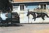Man left his horse dead in front of east Las Vegas house, police say