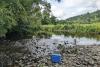 Fishing for DNA – how a cup of river water can reveal secrets about human health, pollution and biodiversity