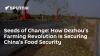 Seeds of Change: How Dezhou's Farming Revolution Is Securing China's Food Security