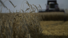 Grain SA defends tariffs, technology at SAHRC food systems inquiry