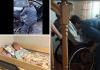 Alhambra pays two-million-euro compensation package to Polish woman left paraplegic after a tree fell on her