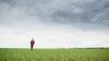 Young EU farmers call for ‘predictable conditions to invest over a lifetime’