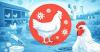 Hong Kong Plans Sam Po Shue Wetland Park to Balance Ecology and Aquaculture Development