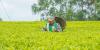 New Tea Levy Sparks Uproar Among Farmers and MPs