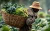 Who Governs the Future of Work? Africa’s Labour Markets in an Era of Global Fragmentation
