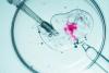 Scientists create a synthetic cell that can grow and replicate