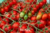 Armenia limits personal farm exports from July 10