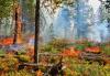 Forestry scientists stay upbeat in face of federal turmoil