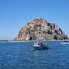 California Commercial Fishing at a Crossroads: Lori French Shares the Challenges Facing Morro Bay’s Fleet
