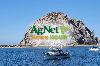 California’s Commercial Fishing Industry Faces Mounting Challenges, Says Morro Bay Fisherwoman