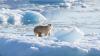 Israel's Arkia Airlines makes history with 'complex and challenging' flight to Arctic Circle
