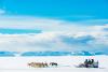 An Explorer's Guide to the 10 Largest Islands in the World. #1: Greenland