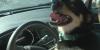 Tennessee has no law banning dogs in drivers’ laps, but distraction statutes still apply