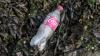 Forget Coca-Cola, Choose Duke Energy