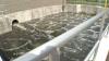 Texas health experts monitor sewage waste for public health threats during World Cup